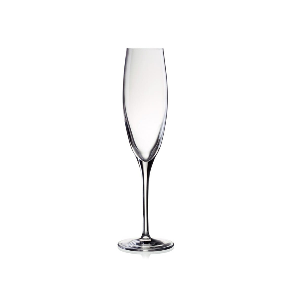 Champagneglas Penelopé 17 cl i gruppen Bar & Vin / Vinglas / Champagneglas hos The Kitchen Lab (1069-11129)