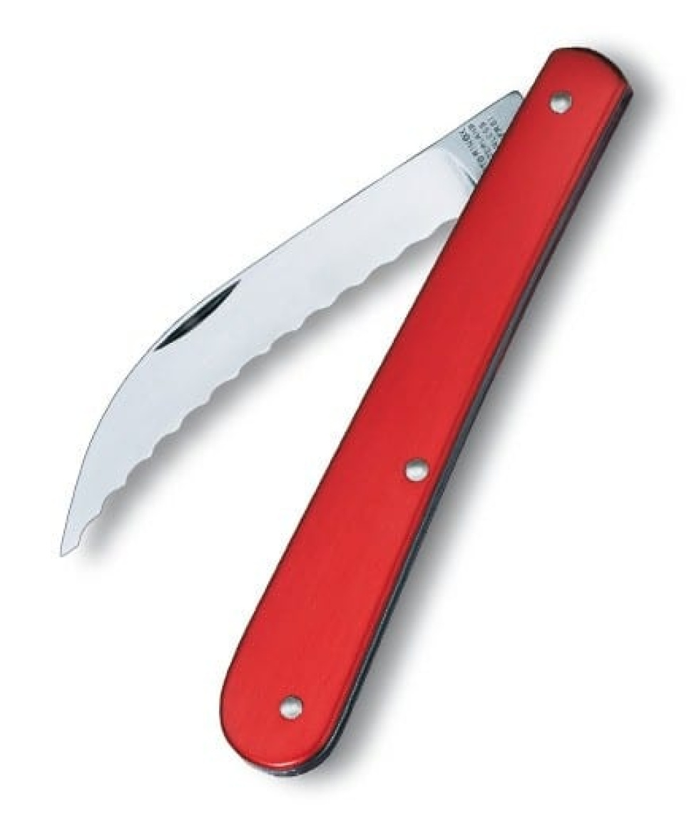 Bagarkniv, degkniv, snittkniv i gruppen Bakning / Bakredskap / Degskärare & degknivar hos The Kitchen Lab (1095-11947)