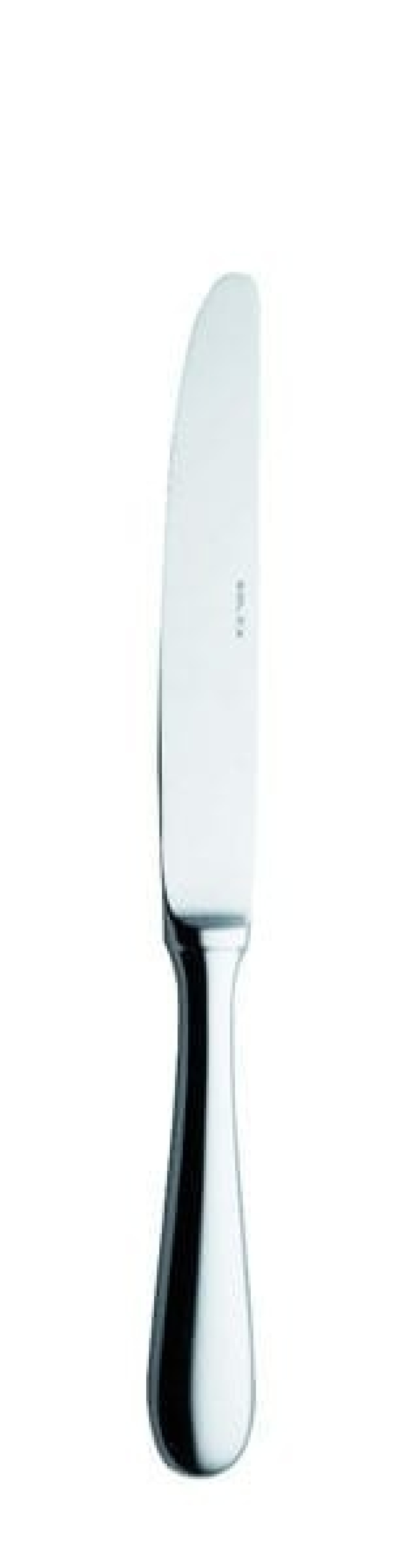 Baguette Bordskniv, ihålig, 247mm i gruppen Dukning / Bestick / Knivar hos The Kitchen Lab (1284-12796)