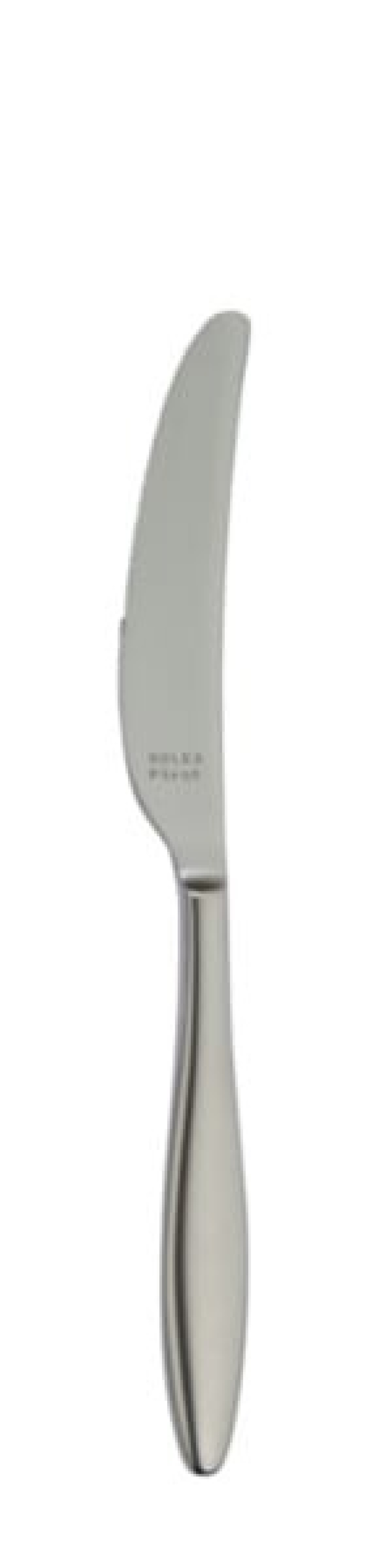 Terra Retro Bordskniv 240 mm - Solex i gruppen Dukning / Bestick / Knivar hos The Kitchen Lab (1284-21661)
