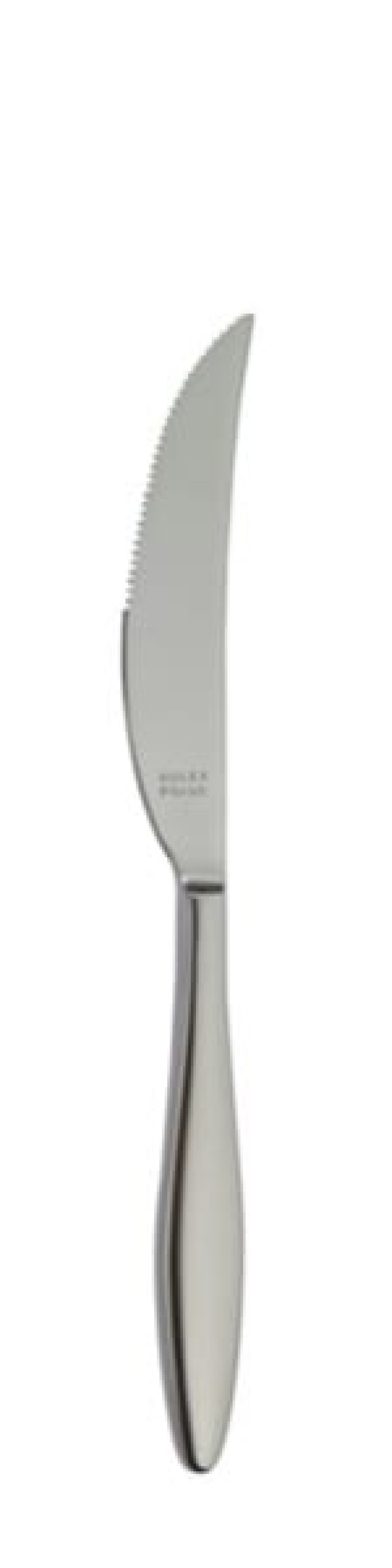 Terra Retro Stekkniv 239 mm - Solex i gruppen Dukning / Bestick / Knivar hos The Kitchen Lab (1284-21663)
