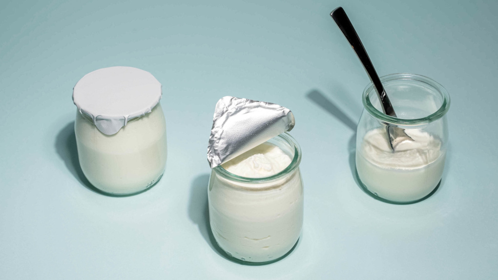 Göra egen yoghurt? Här är allt du behöver veta