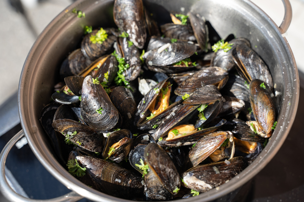 Moules marinières och moules frites