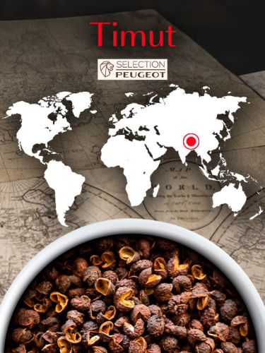 Peppar, Vild Timut, 40 g, Nepal - Peugeot