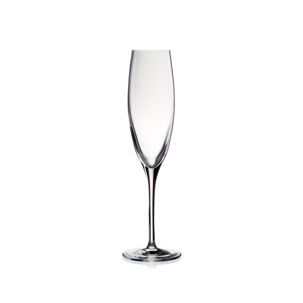 Champagneglas 17 cl, Penelopé - Stölzle i gruppen Bar & Vin / Vinglas / Champagneglas hos KitchenLab (1069-11129)