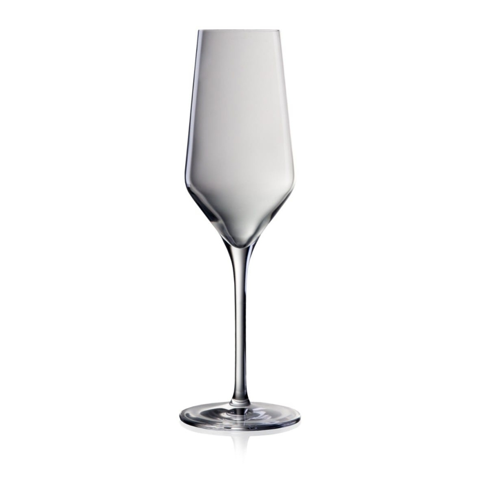 Champagneglas 240 ml, Bohemia Lucy i gruppen Bar & Vin / Vinglas / Champagneglas hos The Kitchen Lab (1069-12579)