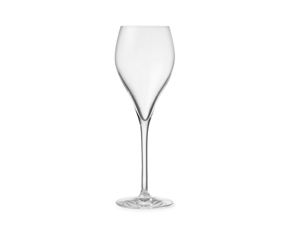 Champagneglas Enoclub, 34cl - Patina i gruppen Bar & Vin / Vinglas / Champagneglas hos The Kitchen Lab (1069-26442)