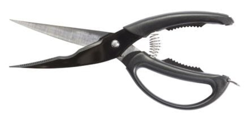 Fågelsax, 25 cm - Satake