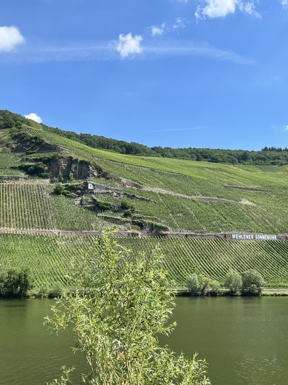 Riesling 4-pack, + Mosel-karaff, Veritas - Riedel Riesling 4-pack, + Mosel-karaff, Veritas - Riedel