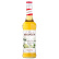 Monin Elderflower Syrup 70 cl