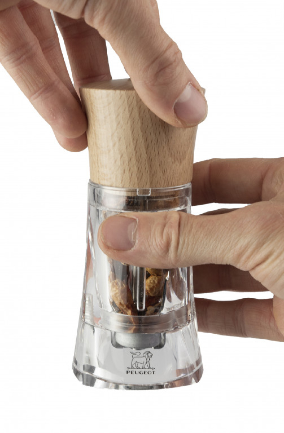 Chilikvarn, 14 cm, Oléron - Peugeot