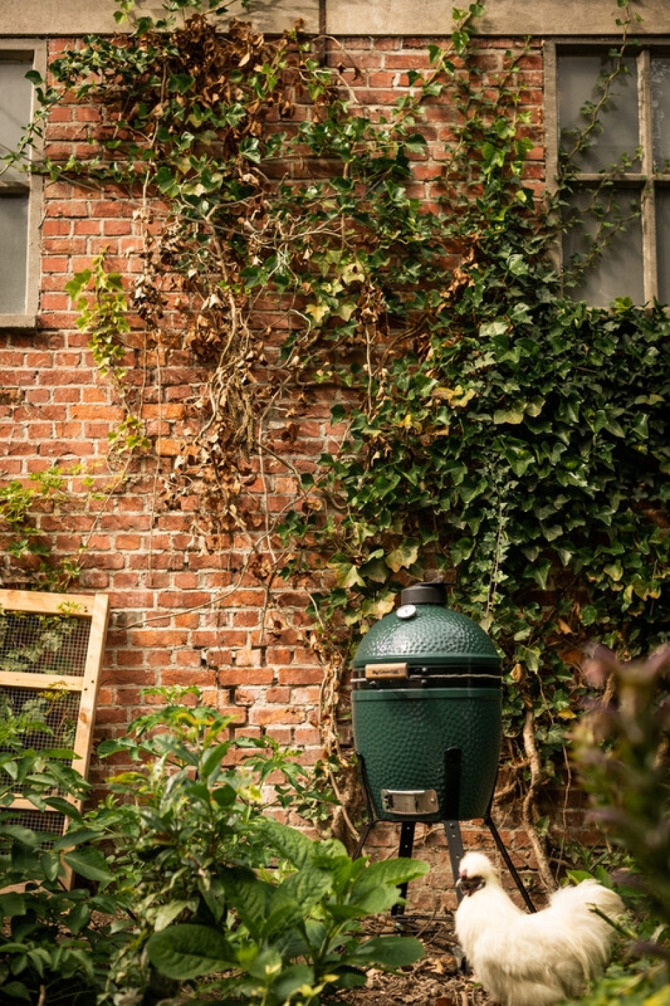 Big Green Egg - Small