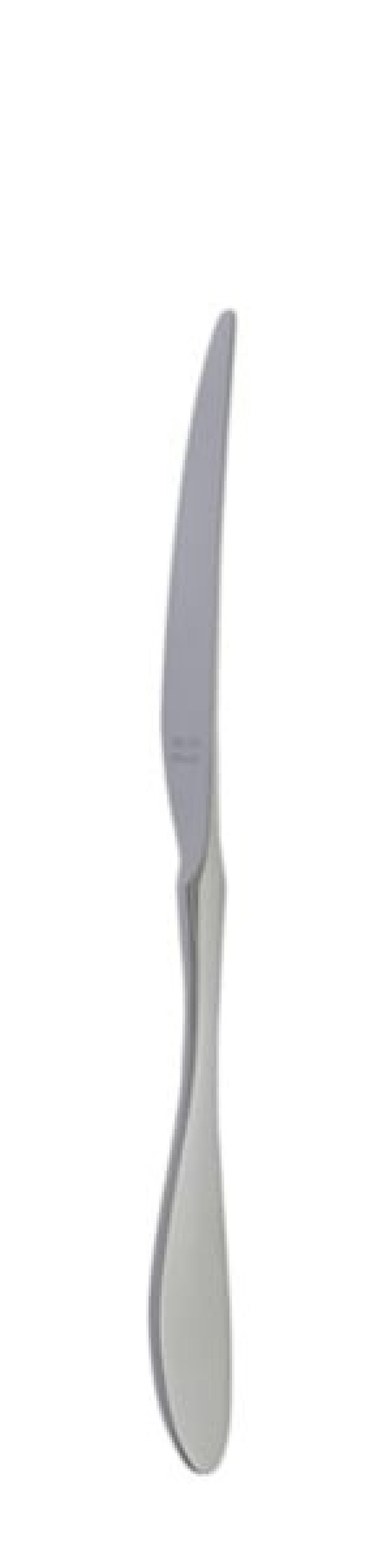 Terra Retro Bordskniv 239 mm - Solex i gruppen Dukning / Bestick / Knivar hos KitchenLab (1284-21659)