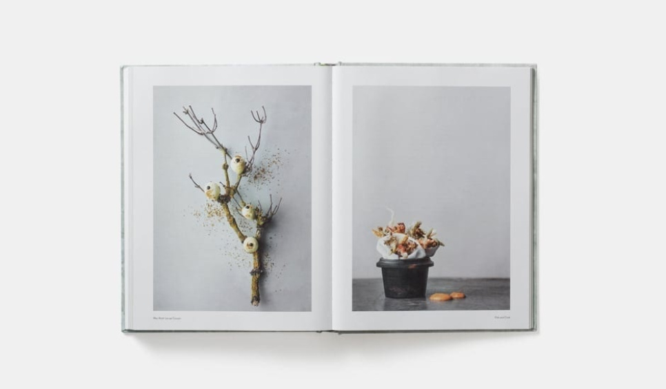 On Eating Insects - Essays, Stories and Recipes