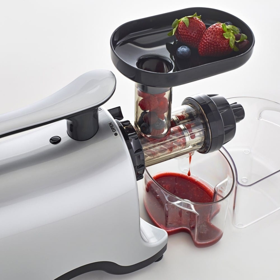 Twin Gear Slow Juicer - Omega
