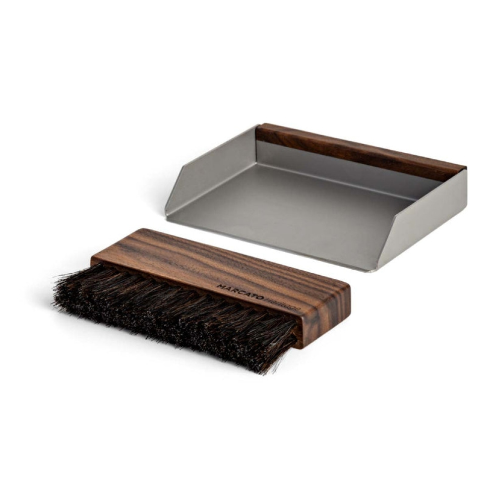 Bordsborste Briociola, Heritage - Marcato