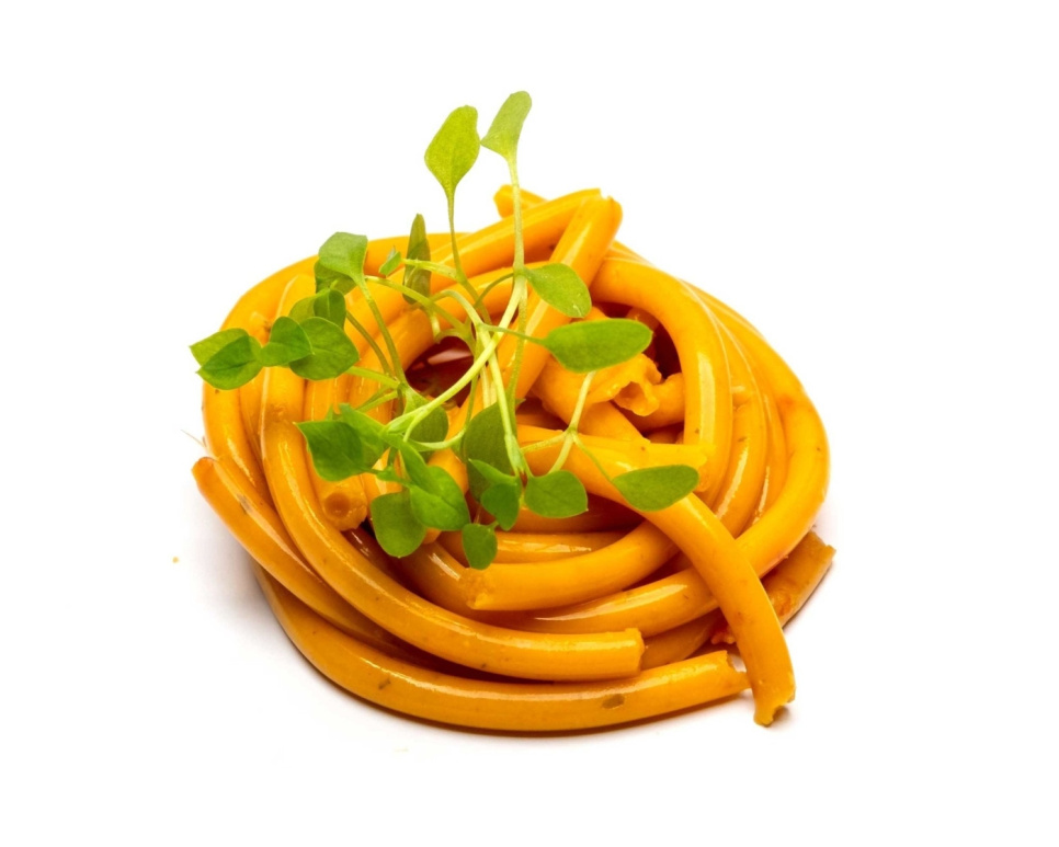 Karragenan Kappa (E407) - The Kitchen Lab