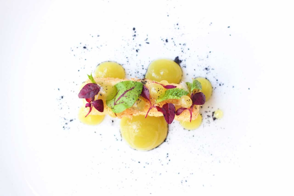 Citronsyra (E330) - The Kitchen Lab