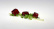 Karragenan Iota (E407a) - The Kitchen Lab Karragenan Iota (E407a) - The Kitchen Lab