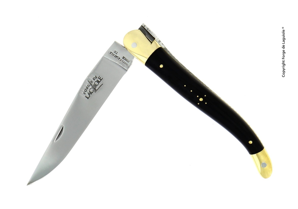 Matkniv med fällbart blad - svart horn - Forge de Laguiole i gruppen Dukning / Bestick / Knivar hos The Kitchen Lab (1446-24427)