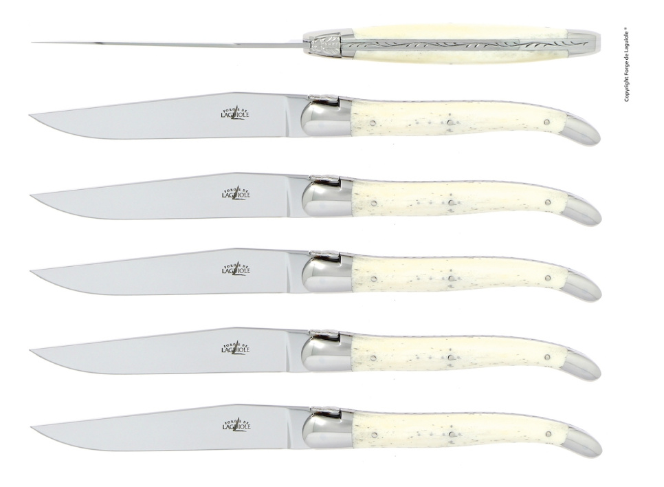 Sex knivar, Handtag av Ben, blank, Tradition - Forge de Laguiole i gruppen Dukning / Bestick / Knivar hos The Kitchen Lab (1446-26106)
