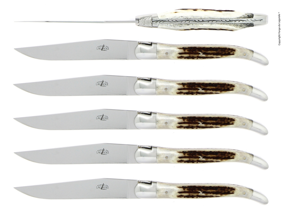 Sex knivar, Handtag av Hjorthorn, blank, Tradition - Forge de Laguiole i gruppen Dukning / Bestick / Knivar hos KitchenLab (1446-32911)