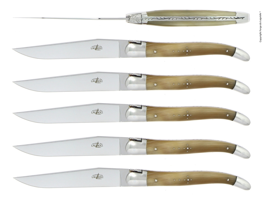 Sex knivar, Handtag av Ljust Horn, blank, Tradition - Forge de Laguiole i gruppen Dukning / Bestick / Knivar hos KitchenLab (1446-32913)
