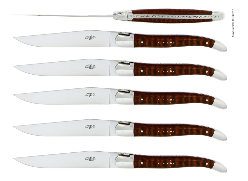 Sex knivar, Handtag av Snakewood, blank, Tradition - Forge de Laguiole i gruppen Dukning / Bestick / Knivar hos The Kitchen Lab (1446-32917)
