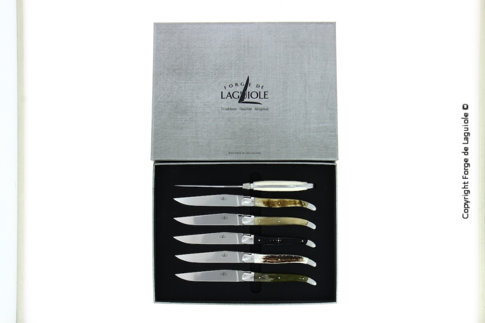 Sex knivar, Handtag av olika Djurmaterial, blank, Tradition - Forge de Laguiole