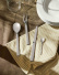 Bestickset 24 delar, Santiago - Alessi
