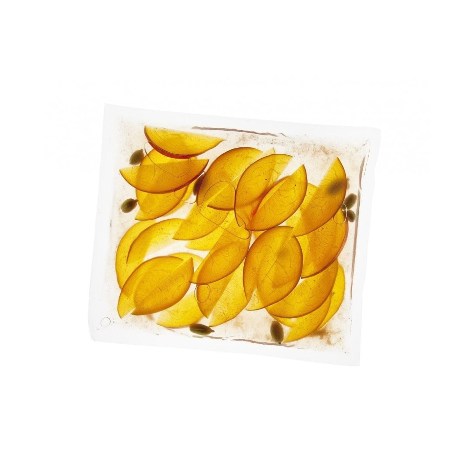 Vakuumpåse för kammarvac, kokbar, 30x40cm, 200-pack i gruppen Matlagning / Sous vide / Zip- & vakuumpåsar hos The Kitchen Lab (1512-13794)