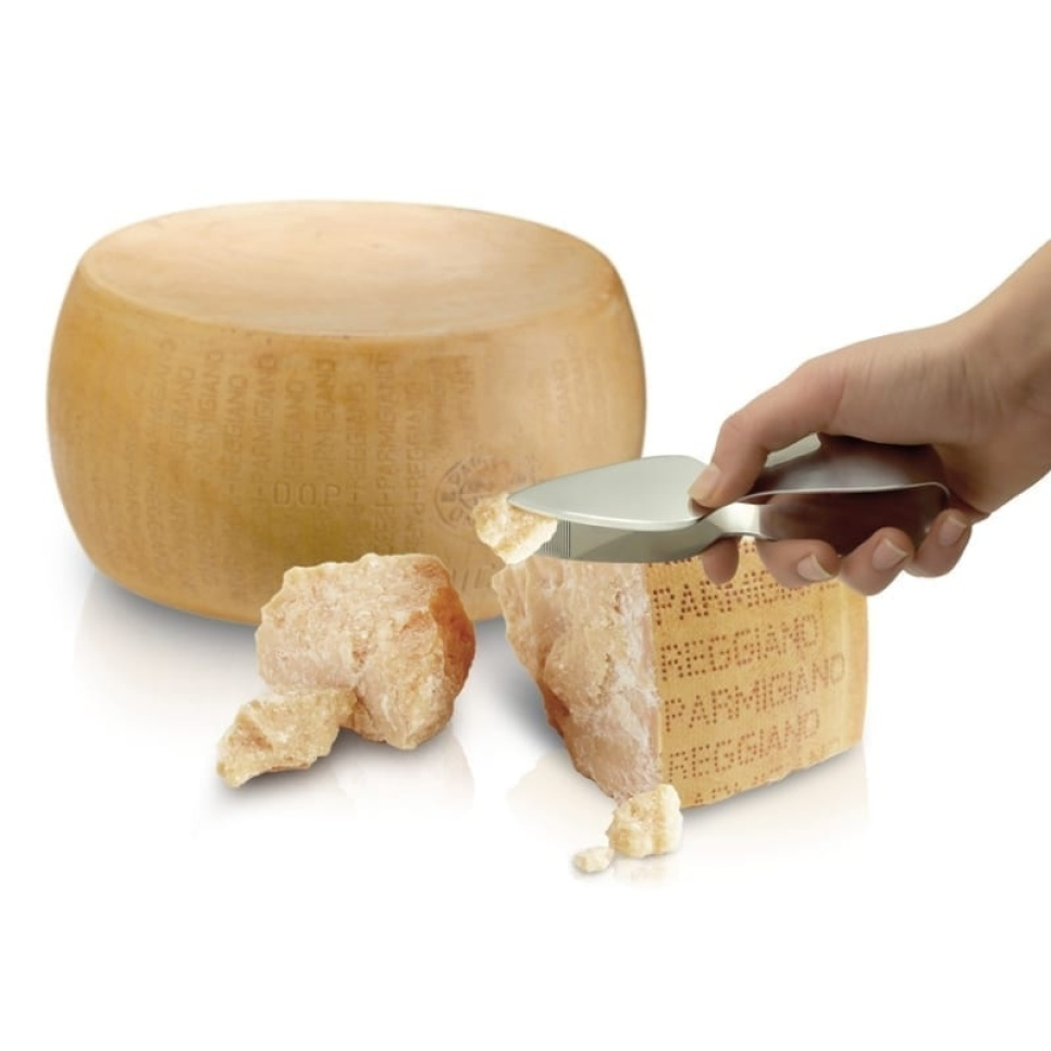 Parmesankniv/Parmesantång - I Geniette