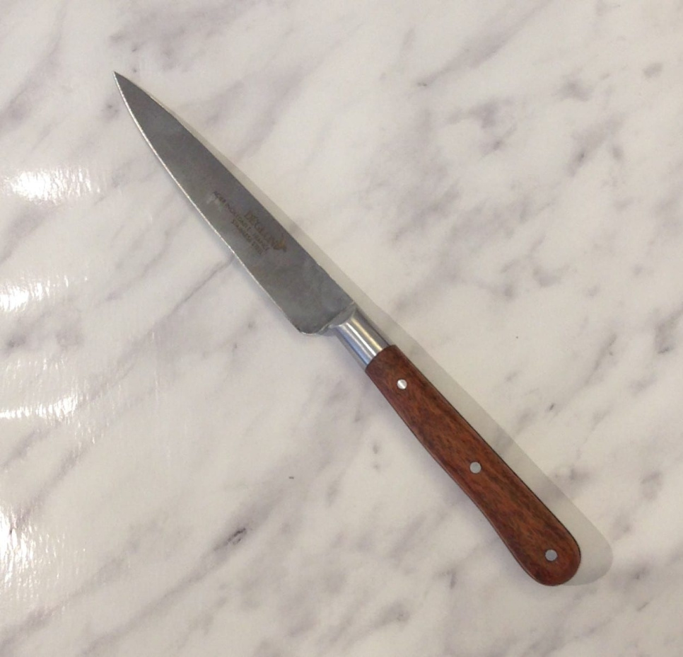 Stekkniv/Allkniv 10 cm - Déglon i gruppen Matlagning / Köksknivar / Allknivar hos The Kitchen Lab (1525-14224)