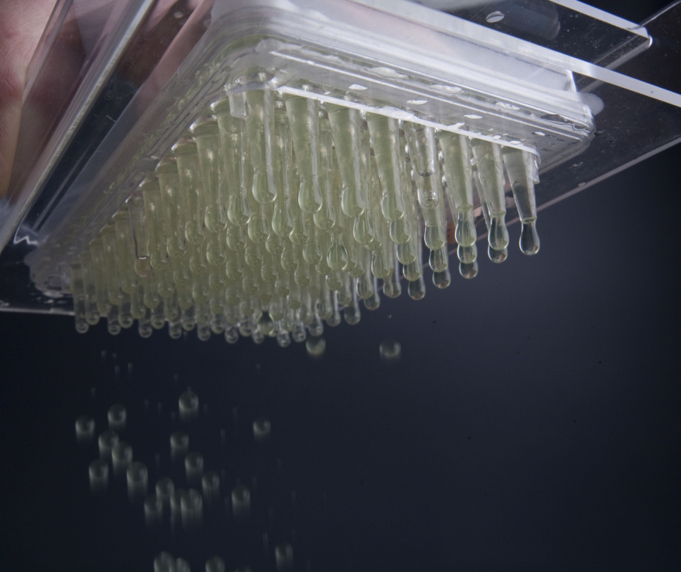 Kaviarbox för sfärtillverkning - 100% Chef