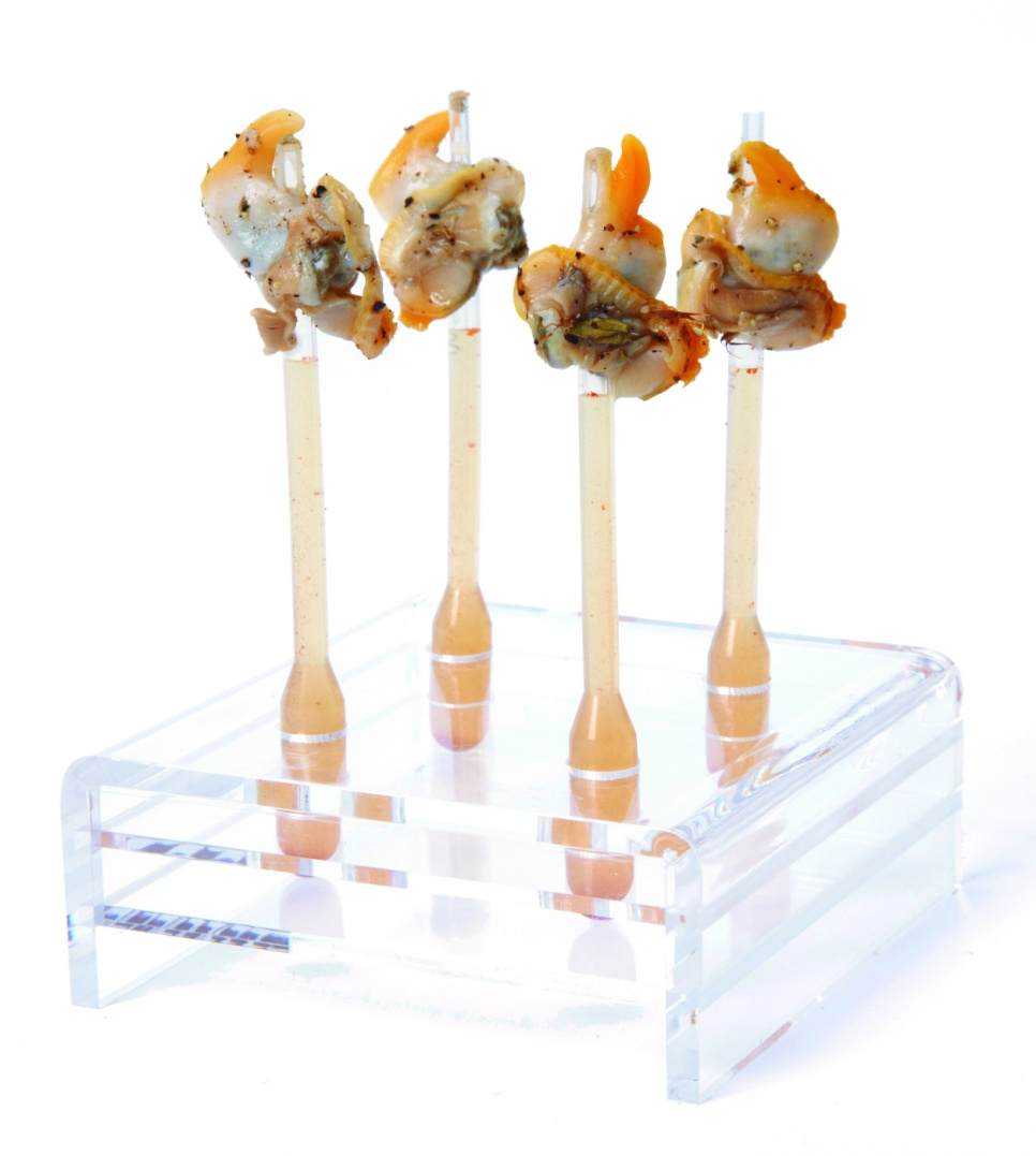 Pipett, konisk, 500-pack - 100% Chef Pipett, konisk, 500-pack - 100% Chef