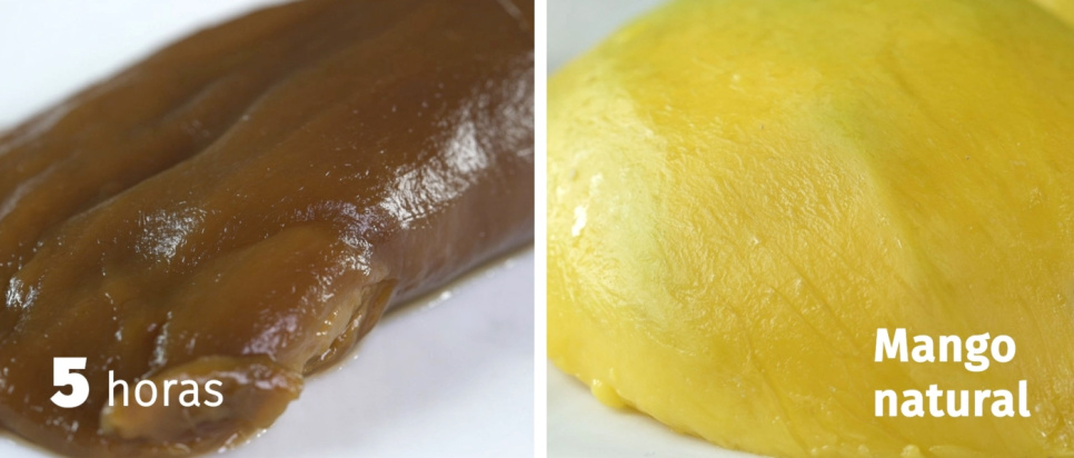 OCOO PRO, dubbel tryckkokare - OCOO