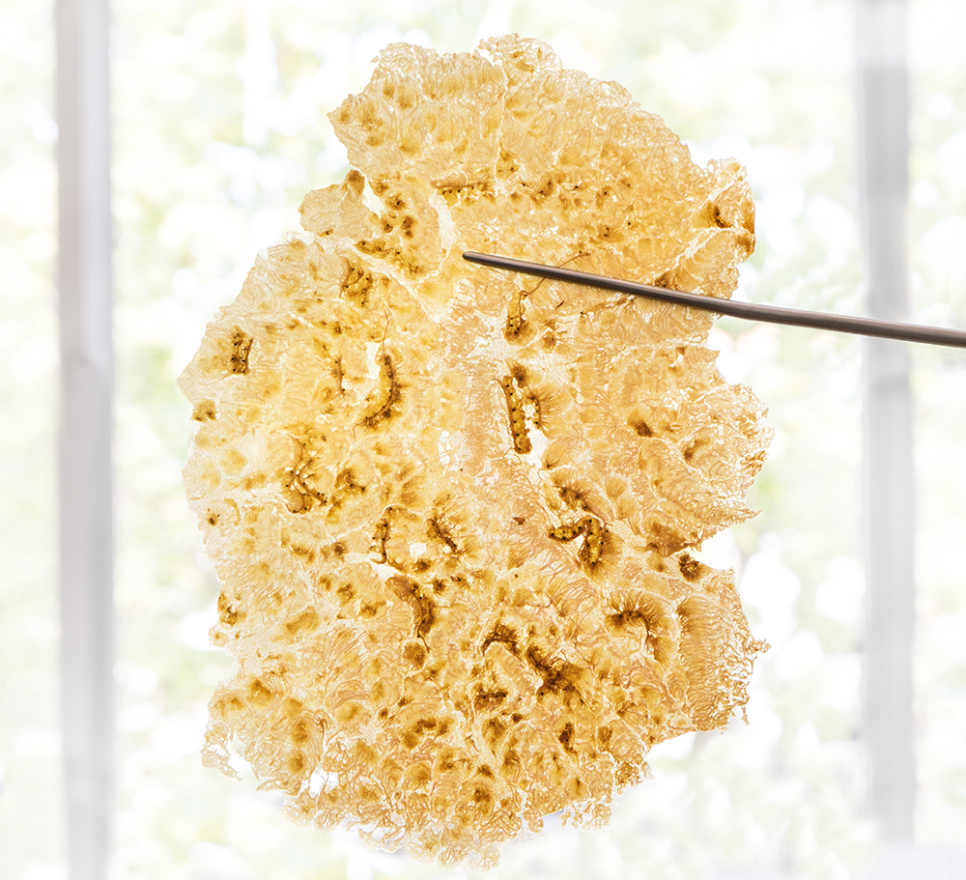 Slimmer, Mekanisk grillpress - 100% Chef