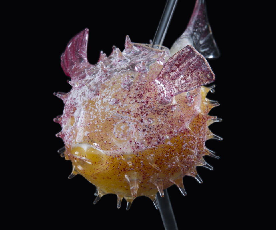 Cocktailglas, Fugu - 100% Chef