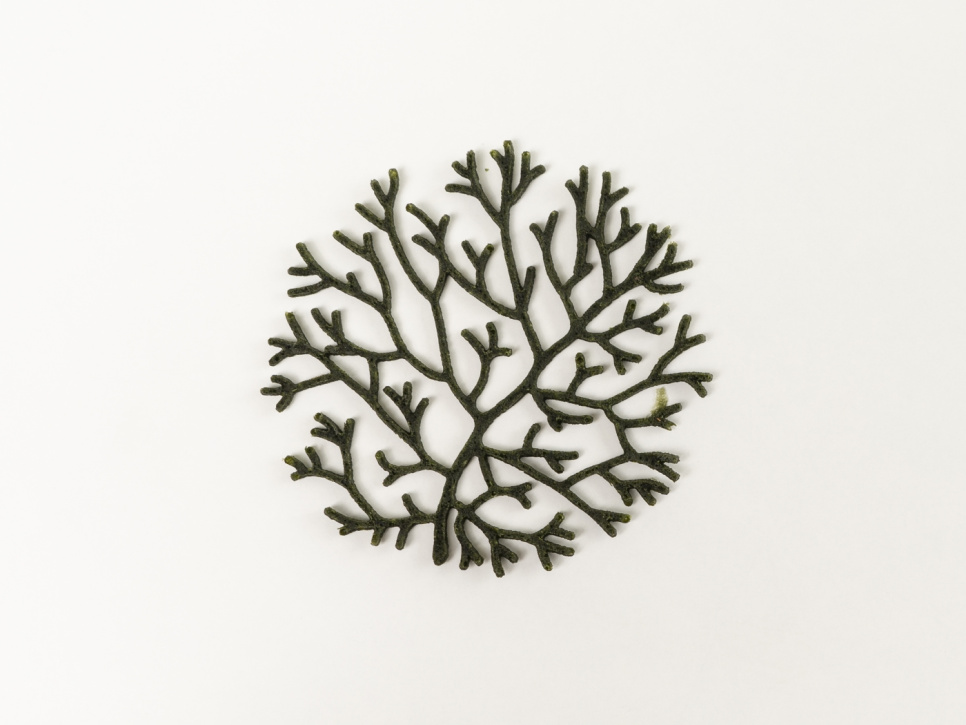 Silikonform för Tuile, Alg - 100% Chef Silikonform för Tuile, Alg - 100% Chef