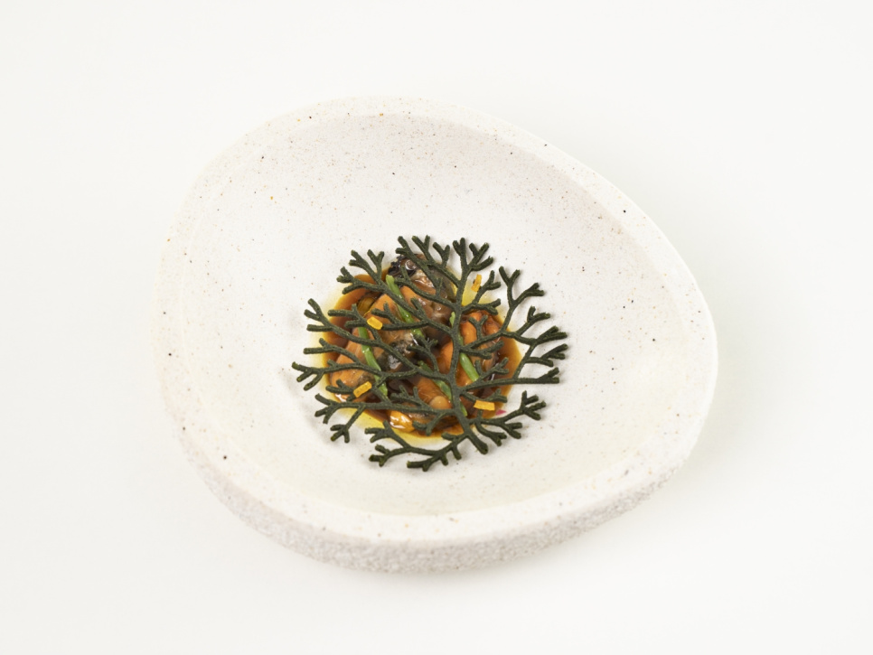 Silikonform för Tuile, Alg - 100% Chef Silikonform för Tuile, Alg - 100% Chef