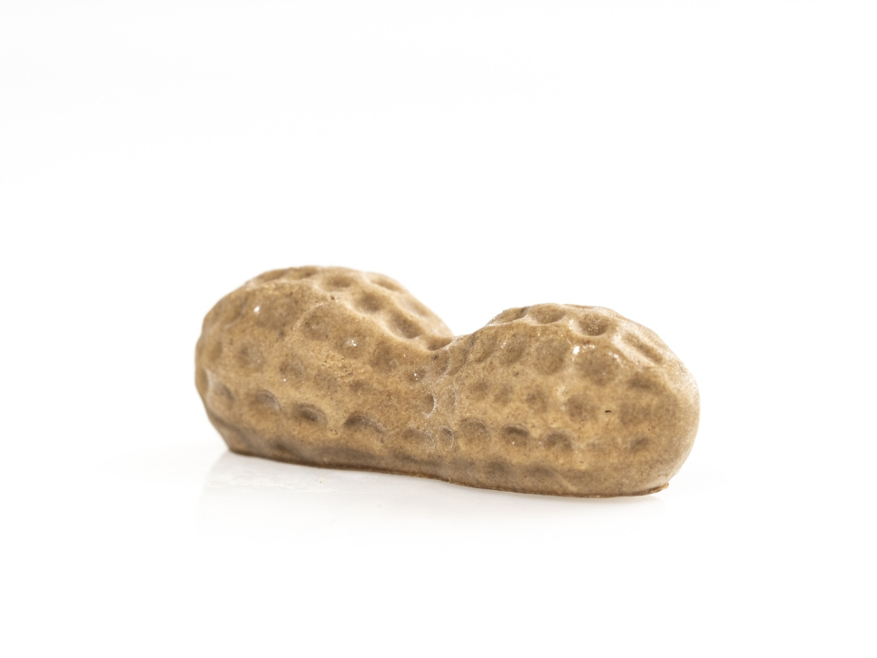 Silikonform för dekor, Jordnöt - 100% Chef Silikonform för dekor, Jordnöt - 100% Chef