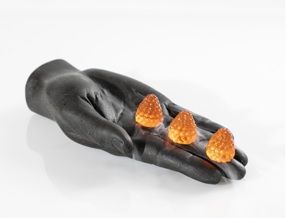 Silikonform för dekor, Hallon - 100% Chef