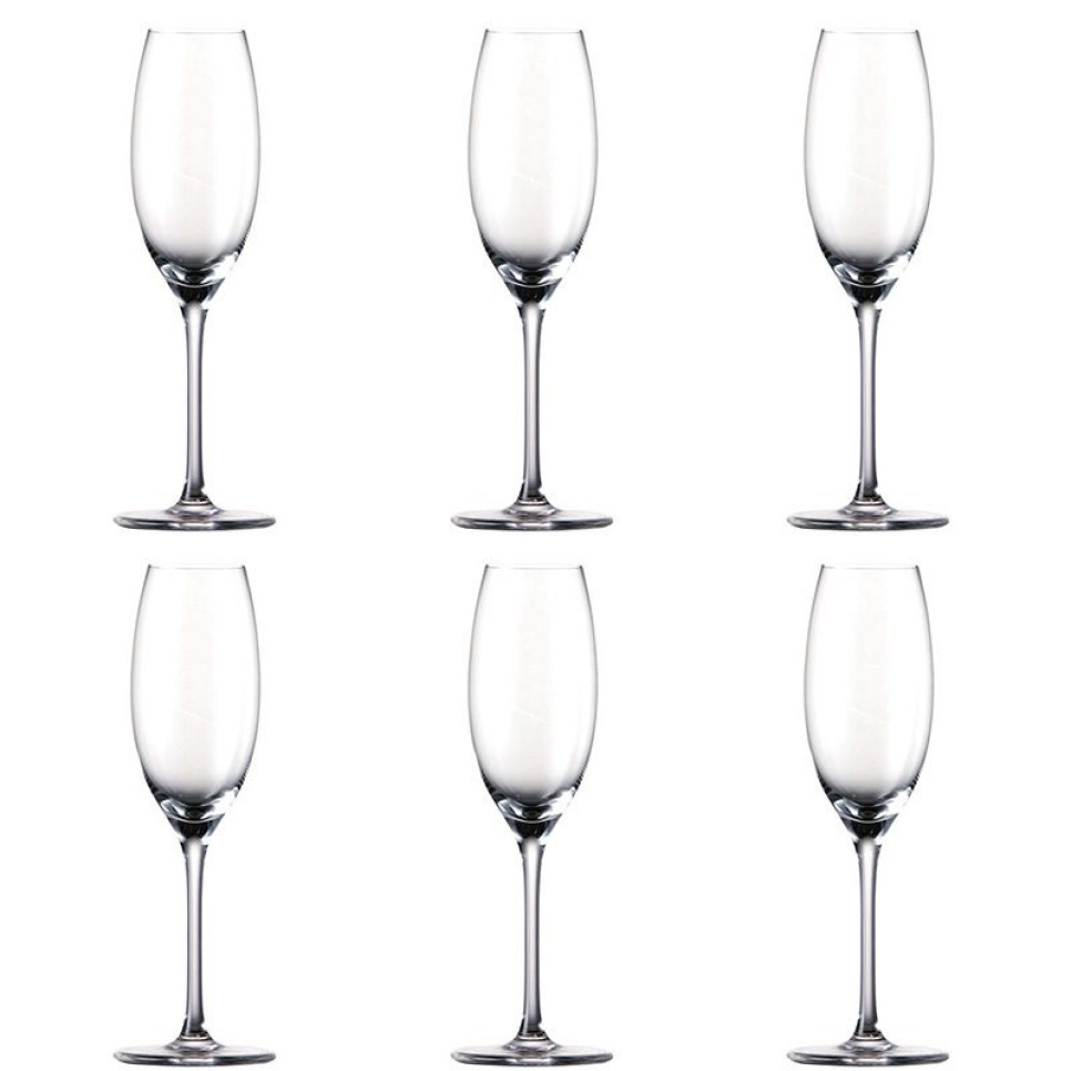Champagne-flöjt, Thomas DiVino, 6 st i gruppen Bar & Vin / Vinglas / Champagneglas hos The Kitchen Lab (1798-12739)