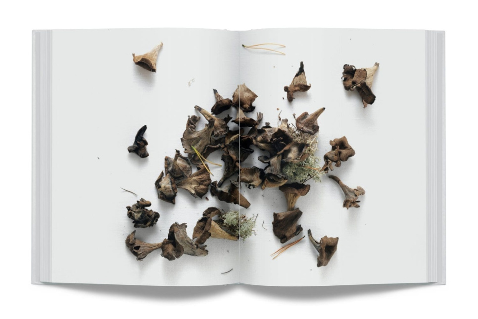 Året På Gastrologik av Jacob Holmström och Anton Bjuhr