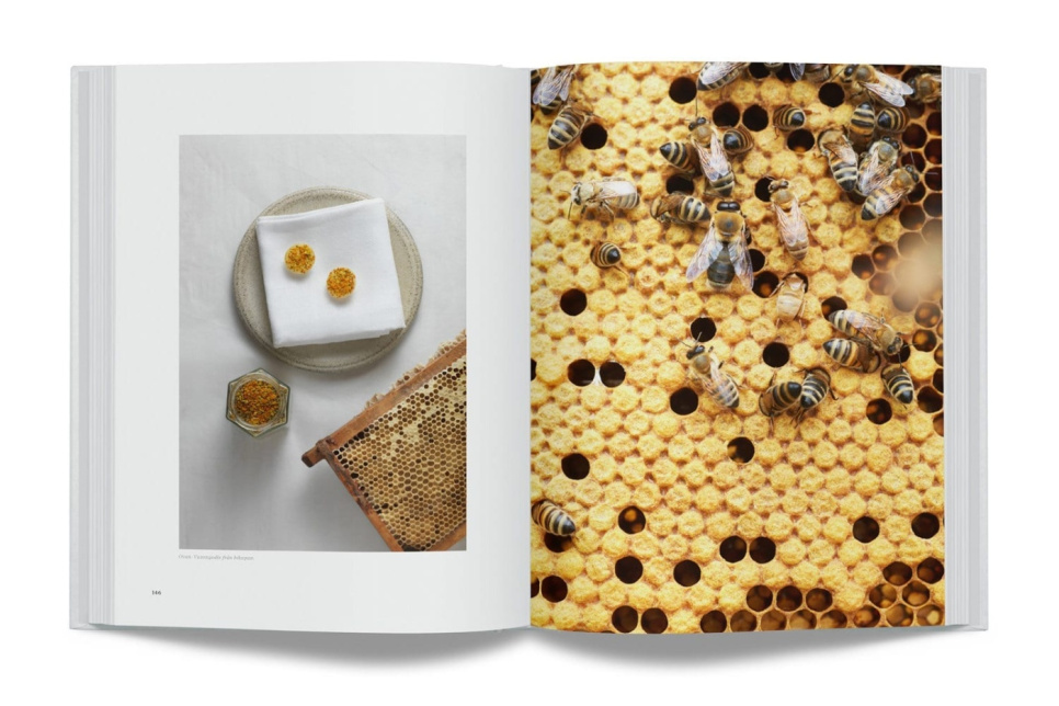 Året På Gastrologik av Jacob Holmström och Anton Bjuhr