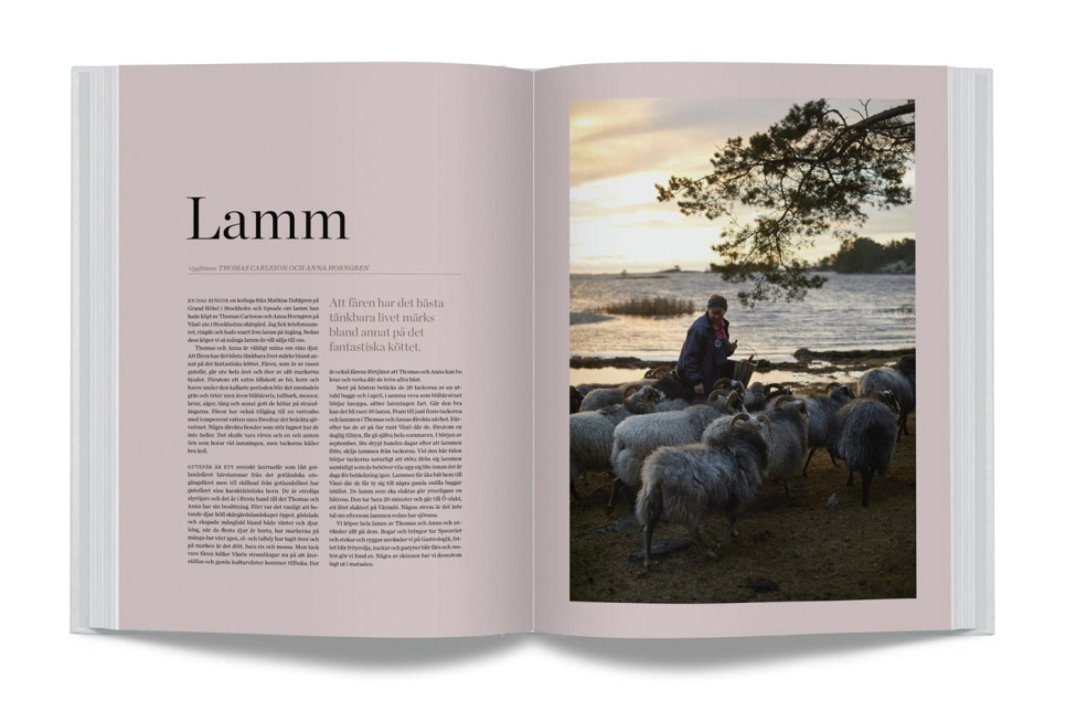 Året På Gastrologik av Jacob Holmström och Anton Bjuhr