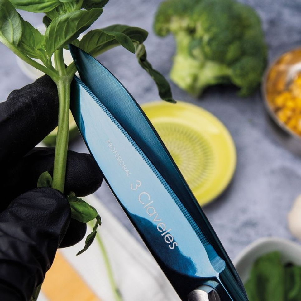 Kökssax 20 cm, Ocean - 3 Claveles