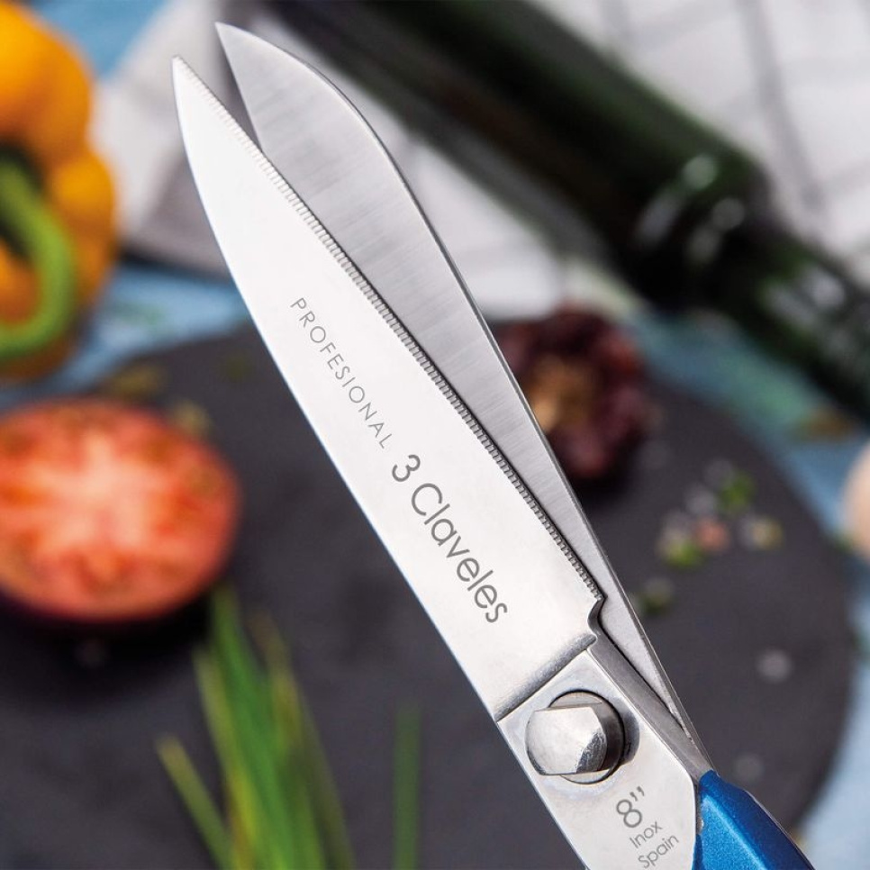 Professionell kökssax i rostfritt stål, Blå - 3 Claveles