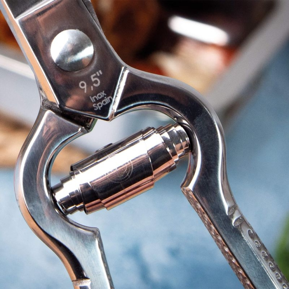 Professionell fågelsax med fjäder - 3 Claveles