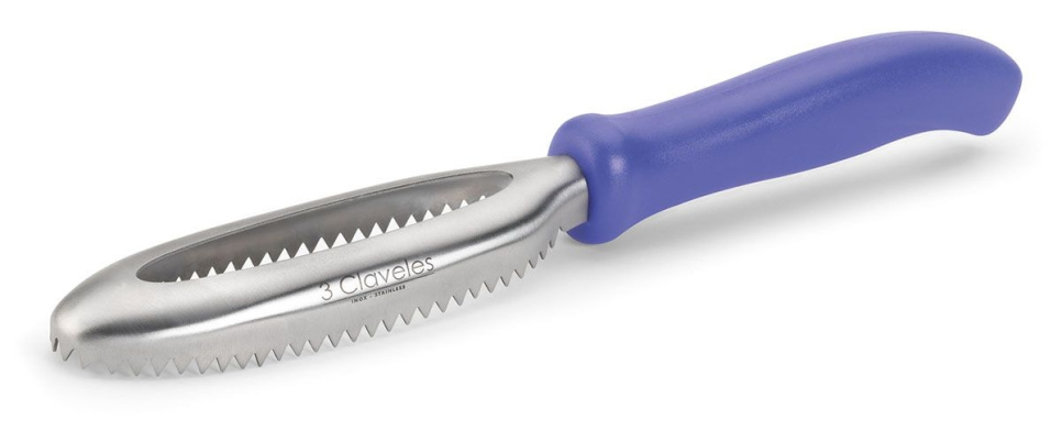 Fiskfjällare, blå - 3 Claveles